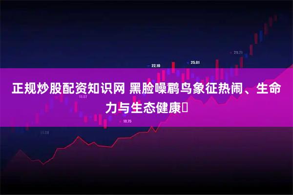 正规炒股配资知识网 黑脸噪鹛鸟象征热闹、生命力与生态健康‌